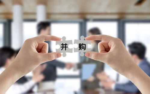 中诚咨询IPO过会 募资总额砍掉1.3亿，董事长夫人控股达86.98%